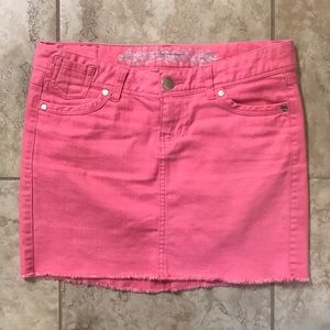 Express Skirt, size 2